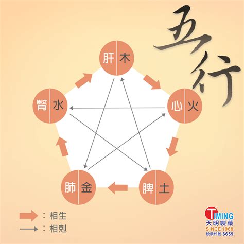 五行平衡|五行平衡什么意思？